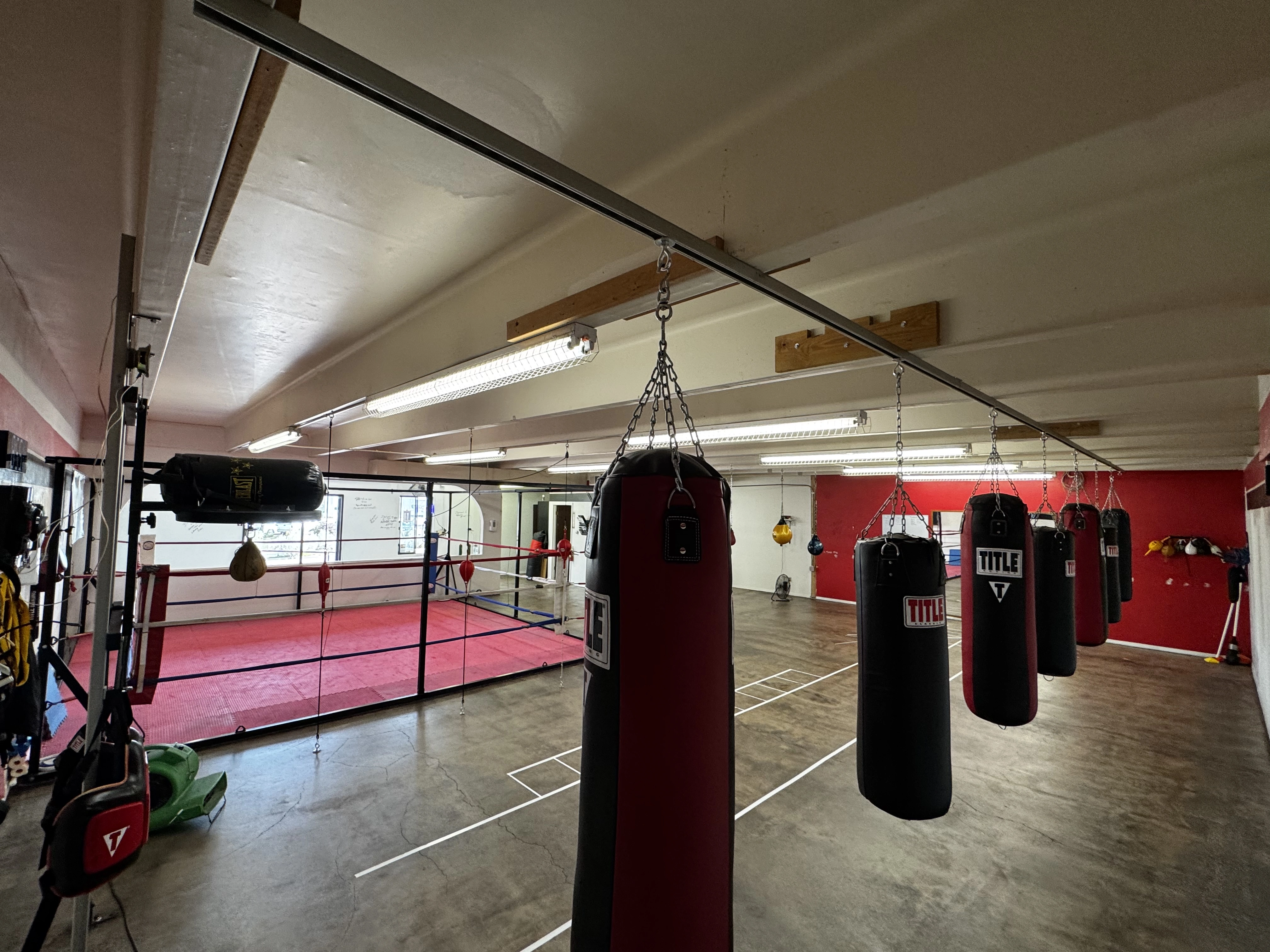 Inside Pugilistic Boxing Academy - boxing ring and heavy bag wall